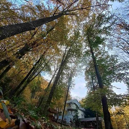 База Відпочинку Шиповець Poroshkovo Екстериор снимка